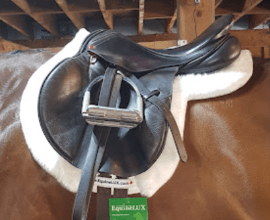 Shimmable Hunter saddle pad with pockets