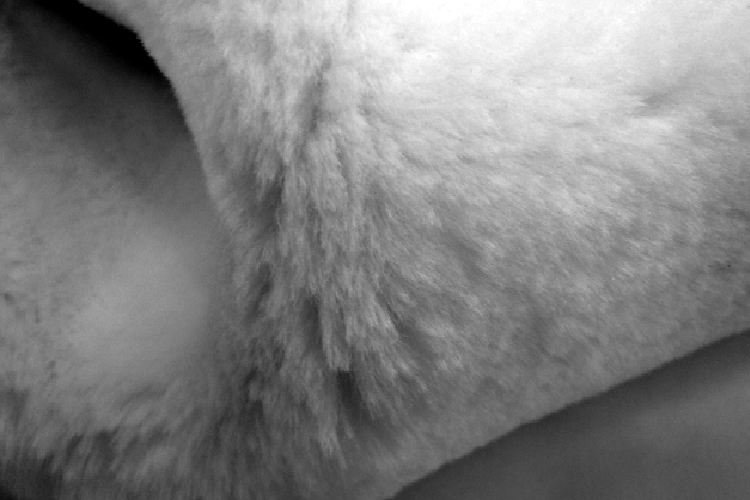 Merino sheepskin